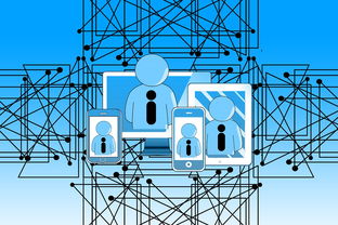 开云体育平台-高校运动康复训练技术及应用研究,运动康复开设院校排名