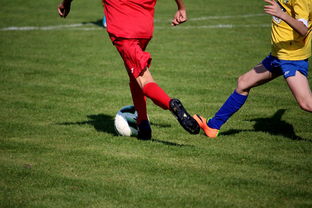 开云体育app注册-仰泳大战美队领先毫厘之间，仰泳比赛视频欣赏