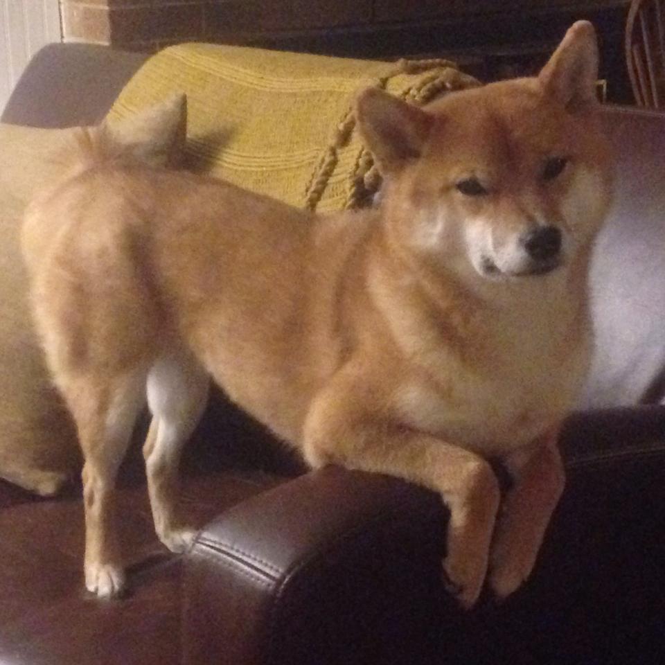 开云体育app-切尔西防守反击效果显著,完美执行,切尔西防守怎么这么强