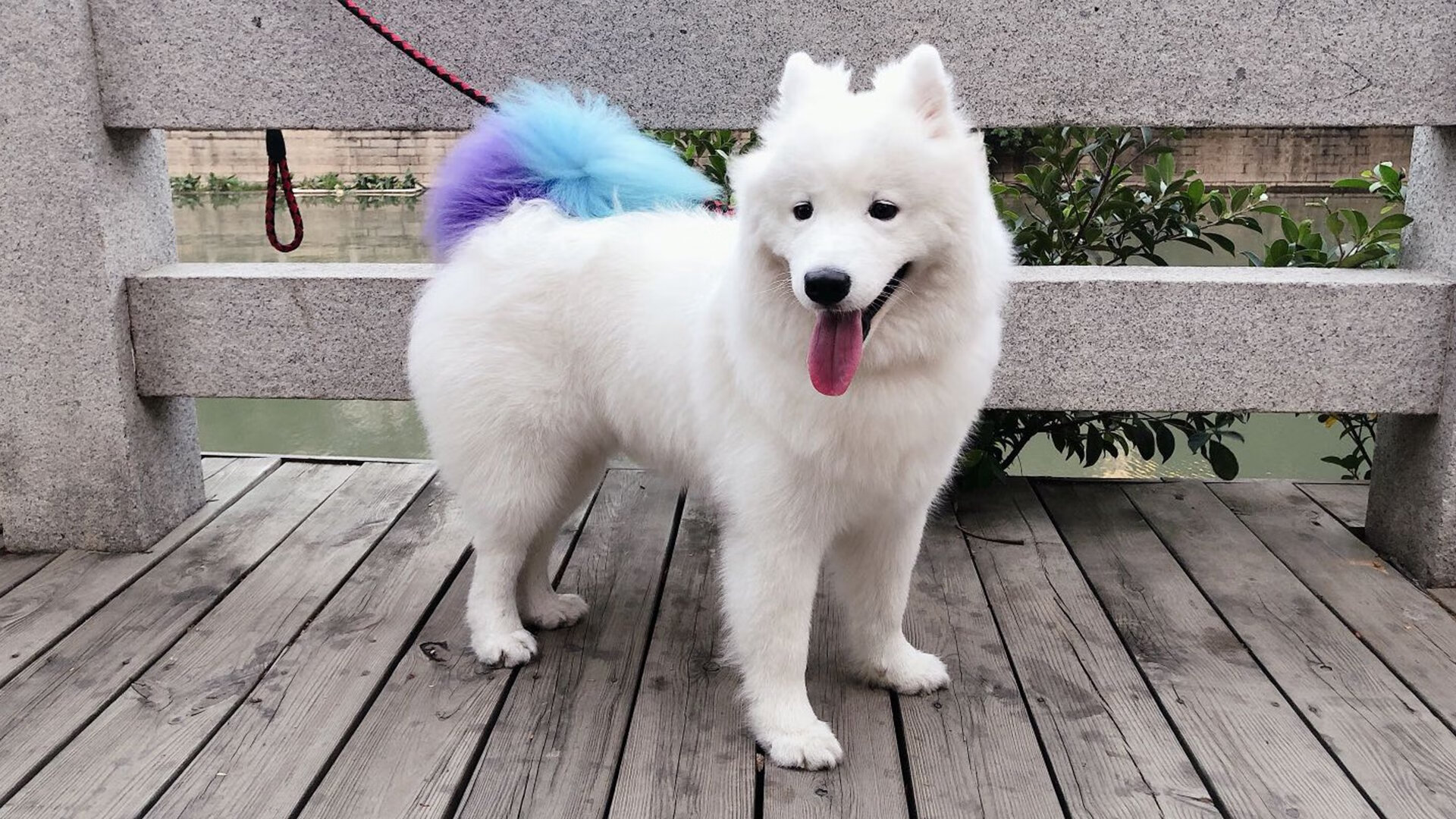 开云体育在线官网-巴黎中场核心引领全队推进节奏,巴黎 中场