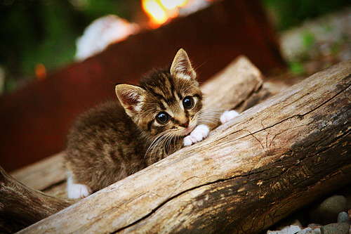 开云体育官网app-世界级足球明星今昔对比，展现成长轨迹，世界足球明星50名名字